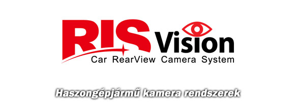 RIS Vision